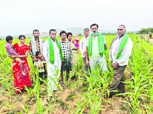 రైతులను మోసగించిన విత్తన కంపెనీ 