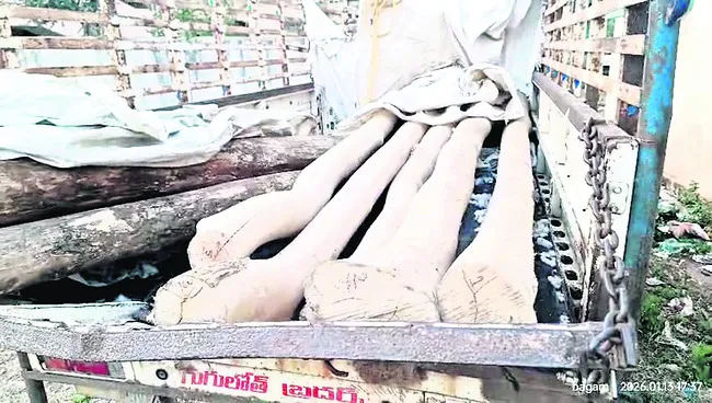 అక్రమంగా తరలిస్తున్న కలప స్వాధీనం 
