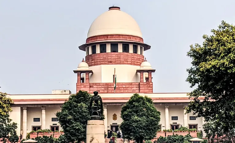 మామ ఆస్తి నుంచి వితంతువుకు భరణం 