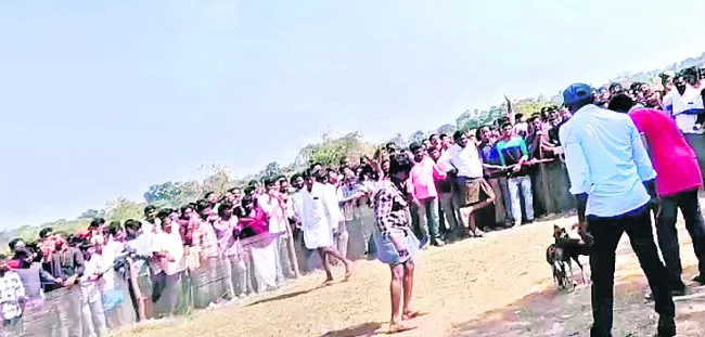 తమ్ముళ్ల బరి తెగింపు 