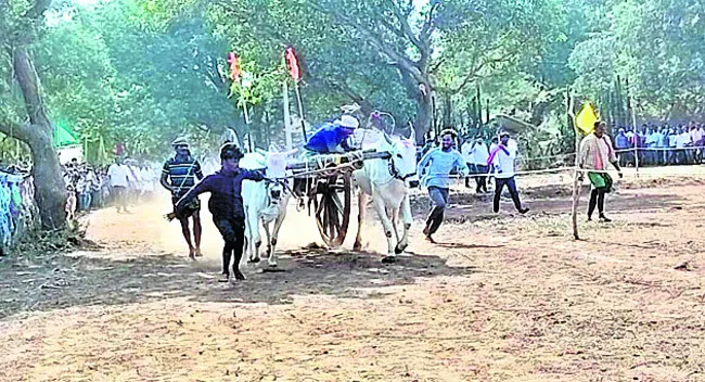 ఎడ్ల బళ్ల పోటీల విజేత నందిగాం