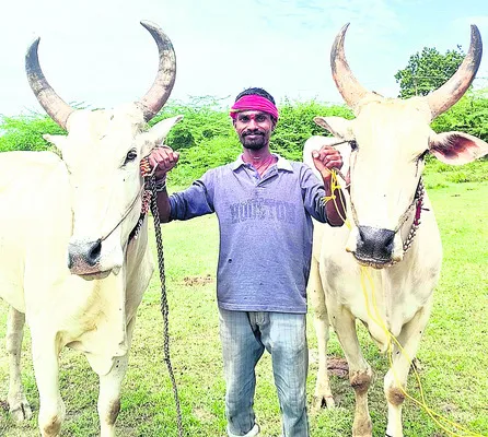 పోటీలంటే సరదా.. 