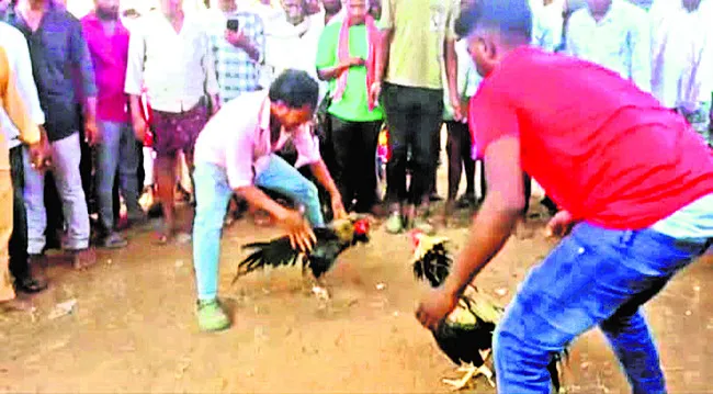 ● విచ్చలవిడిగా జూదాలు 