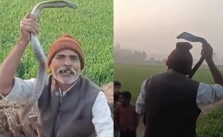 మనకంటే మొనగాడే లేడంటూ  కోబ్రాతో స్టంట్స్‌..చివరికి!