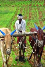 Public money is not constraint in rural India People matters