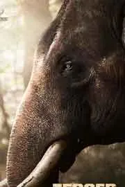 Antony Varghese Kattalan Movie Teaser Released1