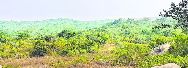 అధికారిక అస్త్రం