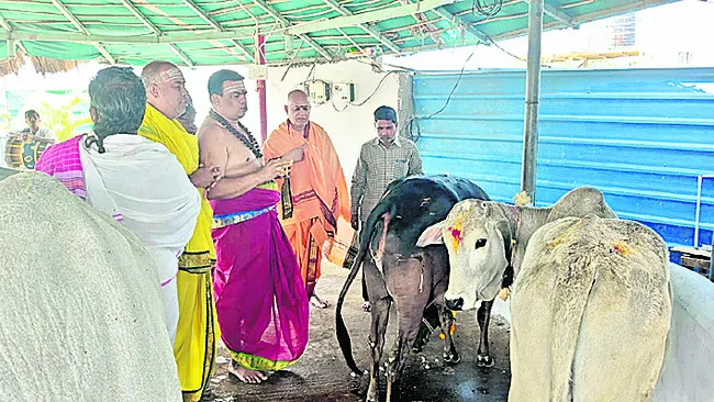 ● సంప్రదాయం ‘కనుమ’..!