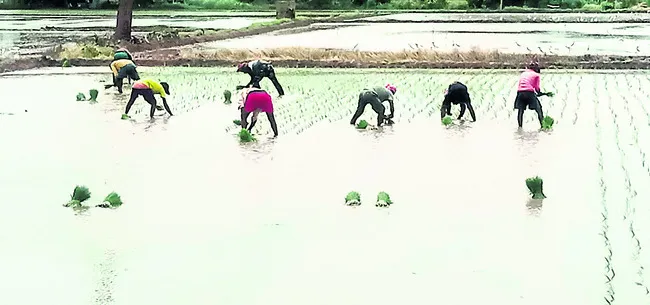 యూరియా... ఏదయా! 