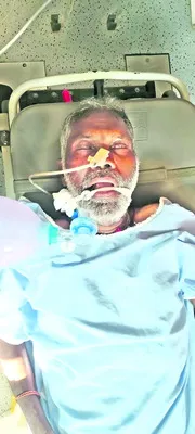 మందుగుండు పేలి ఆవు మృతి
