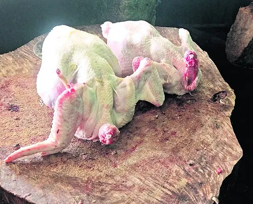 కిలో చికెన్‌ @ 300 