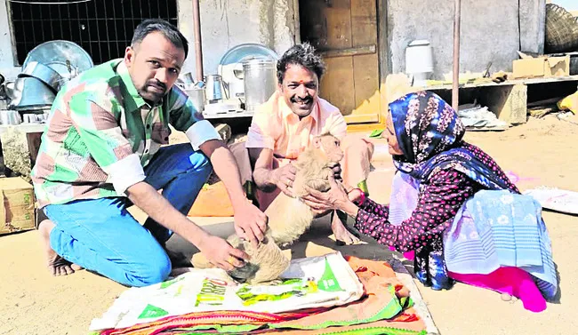 మనసు గెలిచిన మానవత్వం 