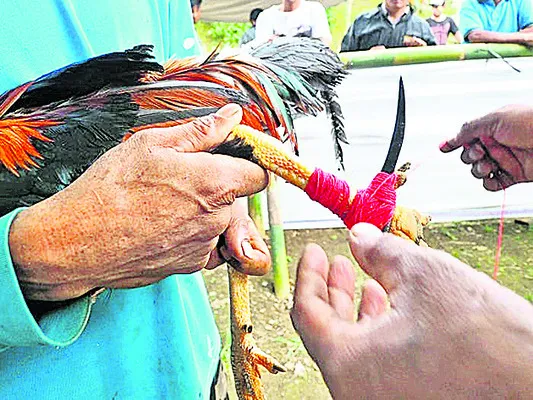కడితే రూ.వేలు..కొడితే లక్షలు