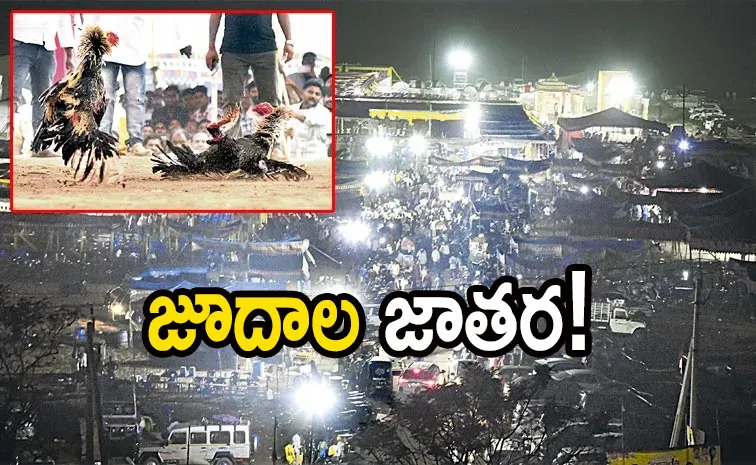 Gambling Clubs Under TDP Leaders: Andhra pradesh