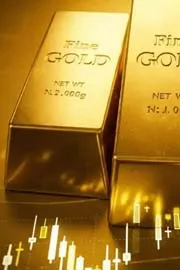 Keep 1 KG Gold And Wait Till  2040 You May Be Able To Buy Private Jet
