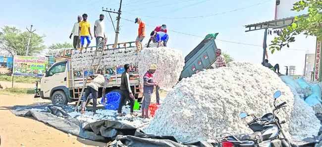 దళారుల పత్తి దందా! 