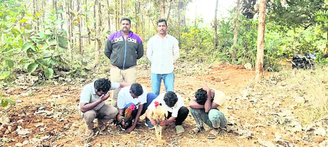 8 మంది కోడి పందెం రాయుళ్ల అరెస్టు 