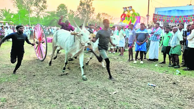 ఎడ్లబళ్ల పోటీ విజేత లెక్కలవానిపాలెం