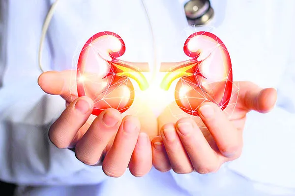 చలికాలం.. కిడ్నీలు పైలం