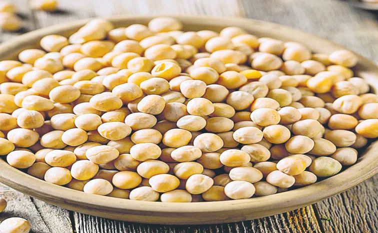 ట్రంప్‌కు కీలెరిగి వాత! 