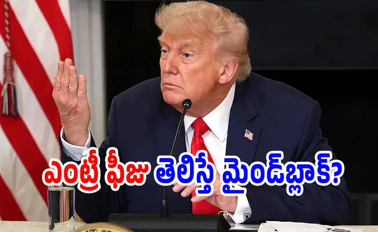 అంతర్జాతీయ పీస్ మిషన్ ప్లాన్‌లో ట్రంప్..?