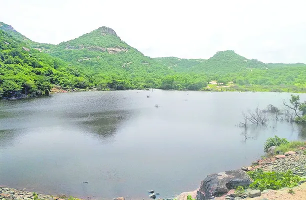 కోటగిరి సింగారం