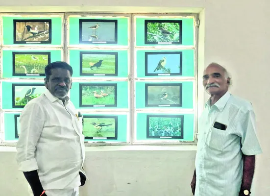 పక్షుల సంరక్షణ  మనందరి బాధ్యత