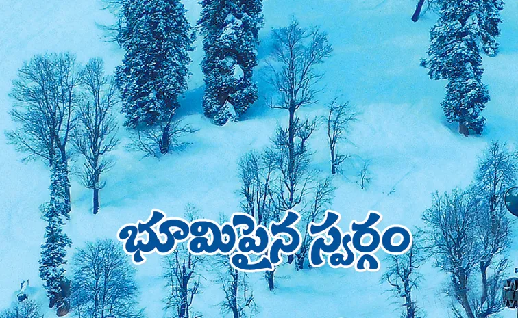 kashmir gulmarg best visit places full details