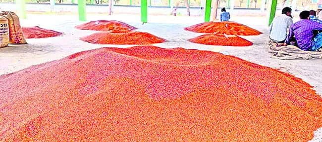 మందకొడిగా కందుల కొనుగోళ్లు 