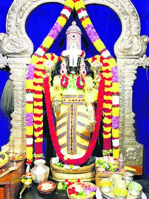 వెంకన్నకు నవనీత సేవ
