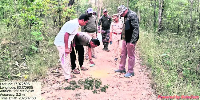 పులి పయనం ఎటు వైపు? 