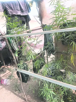 ‘మత్తు’ దందాకు చెక్‌..! 