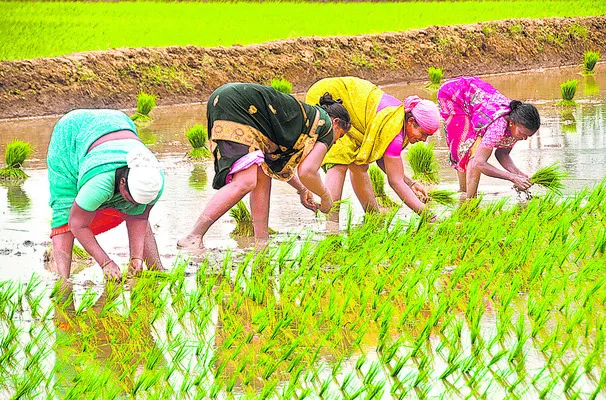 నాట్లలోనూ ముందంజ