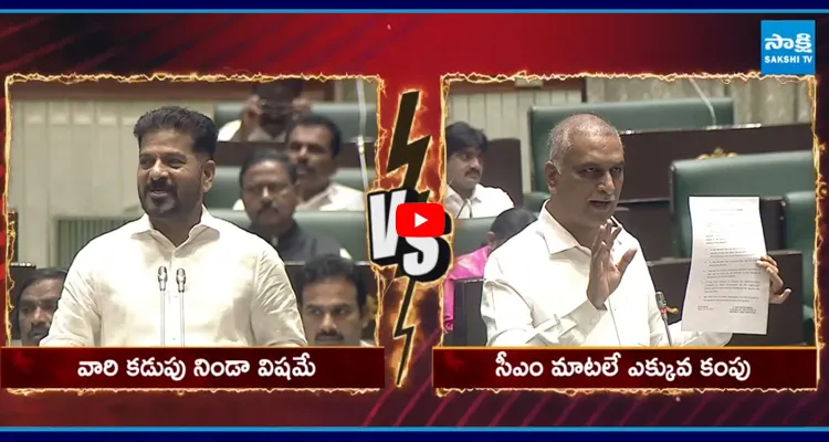 సీఎం రేవంత్ రెడ్డి వ్యాఖ్యలకు బీఆర్ఎస్ హరీష్ రావు కౌంటర్