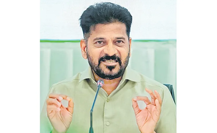 'పాలమూరు'పై విచారణ