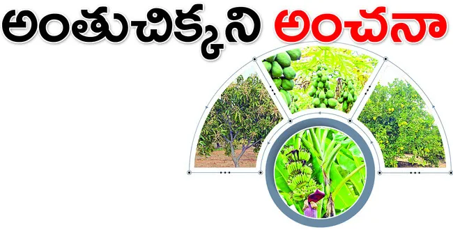 జిల్లాలో ఈ ఏడాది ఉద్యాన పంటలు, వాటి క్రయవిక్రయాల ద్వారా