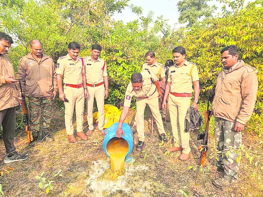 అటవీ ప్రాంతాల్లో సారా తయారీ