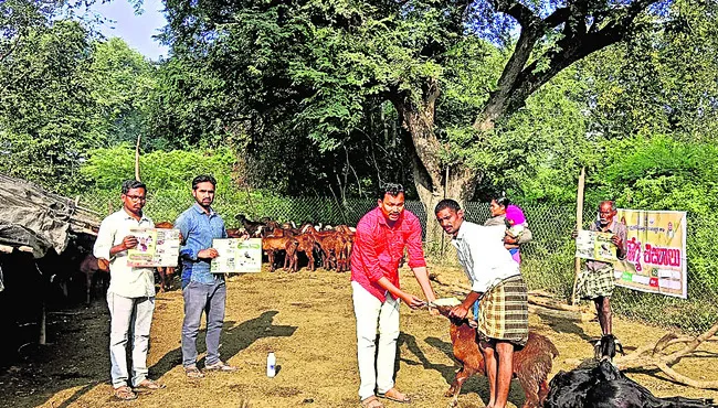 మందుల్లేకుండా వైద్య శిబిరాలా !