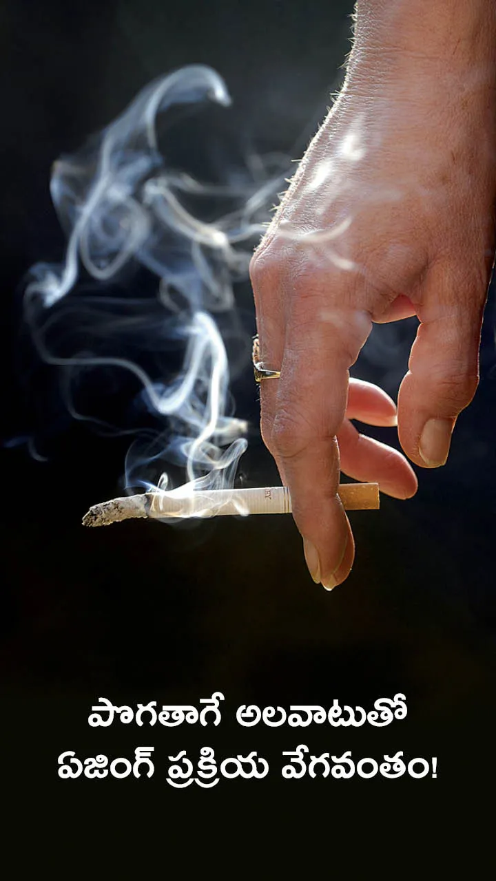 smoking effects risks and diseases for humans