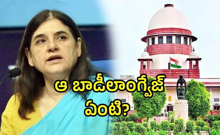 The Supreme Court heard the stray dog ​​case