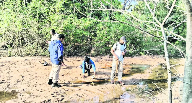 పకడ్బందీగా వన్యప్రాణుల గణన