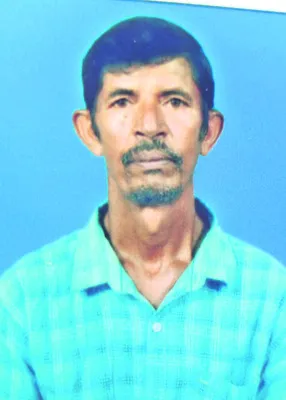 ఆటో ఢీకొని తోటమాలి మృతి 