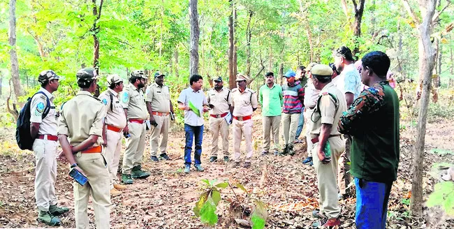పులుల గణన ప్రారంభం