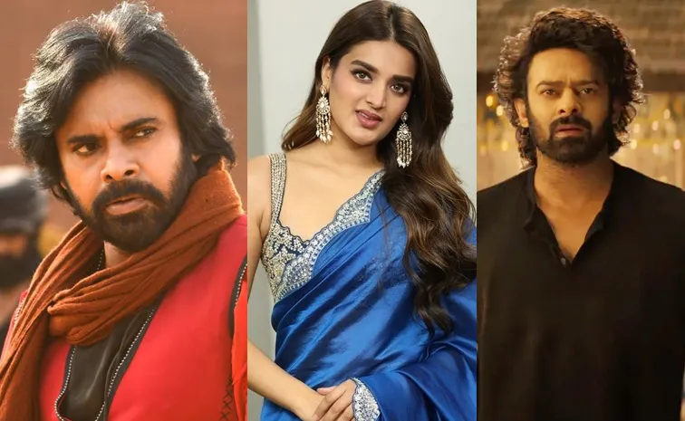 Nidhhi Agerwal Wasted Career With The Raja Saab And Hari Hara Veera Mallu Movies?