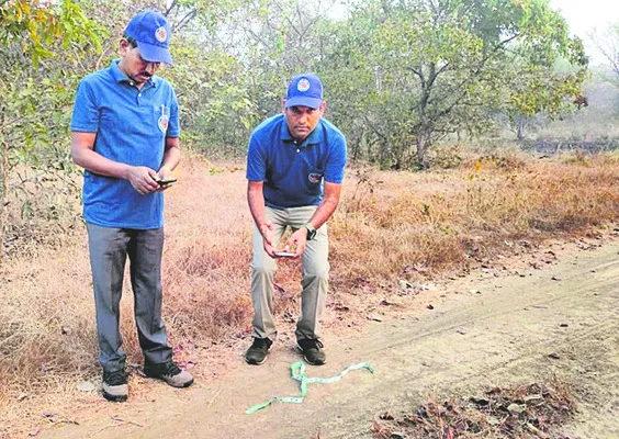 మాంసాహార జంతువుల గణన 