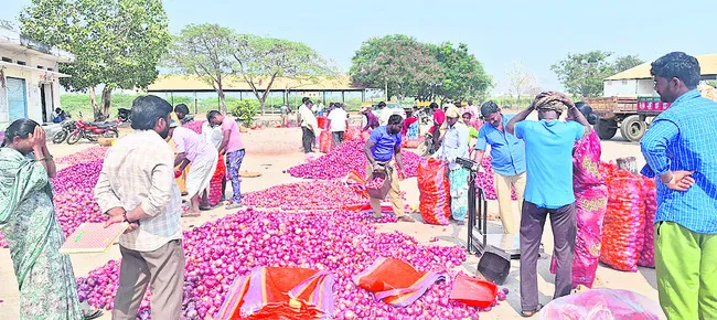 స్వల్పంగా తగ్గిన ఉల్లి ధర 
