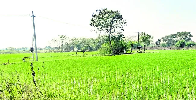 రీ సర్వేతో భూ సమస్యలకు చెక్‌