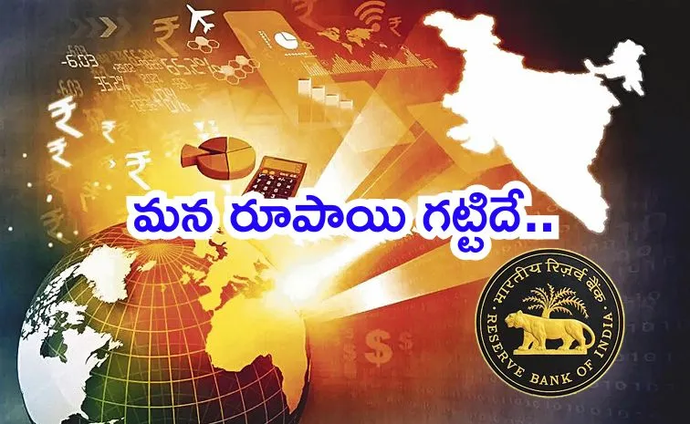 RBI Bulletin Signals Continued Strong Growth for Indian Economy1