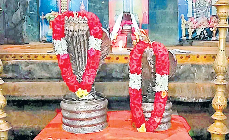 TDP alliance leaders have turned the silver snake hoods into a source of income