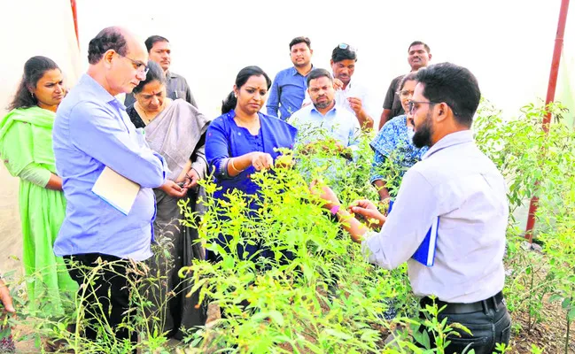 రైతులకు ప్రయోజనం కలిగే పరిశోధనలు చేయాలి 